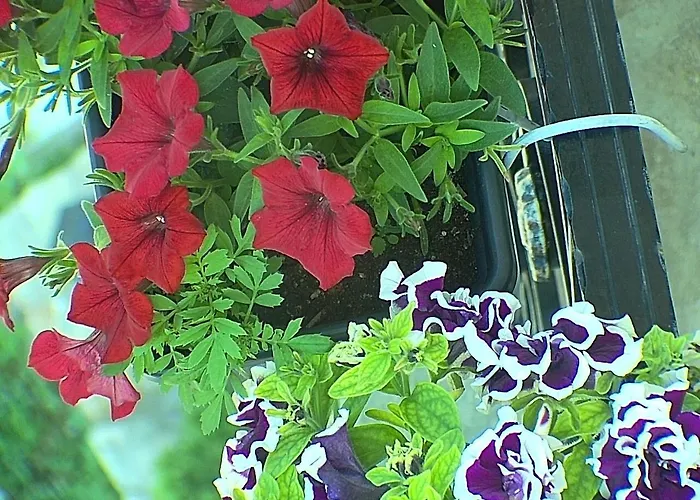 Villa Maria Aβδέλλα * Avdella